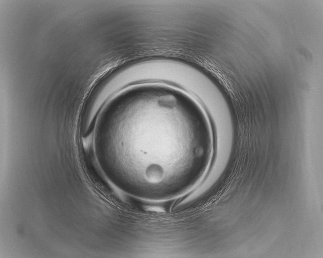 X0000116280587200912141350