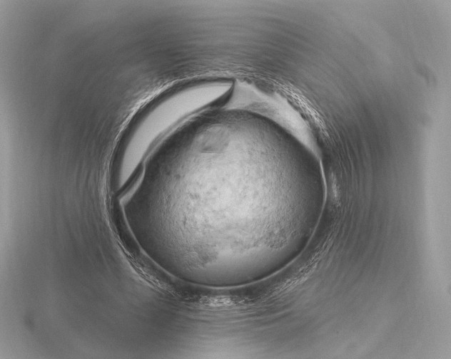 X0000116280588200912141350