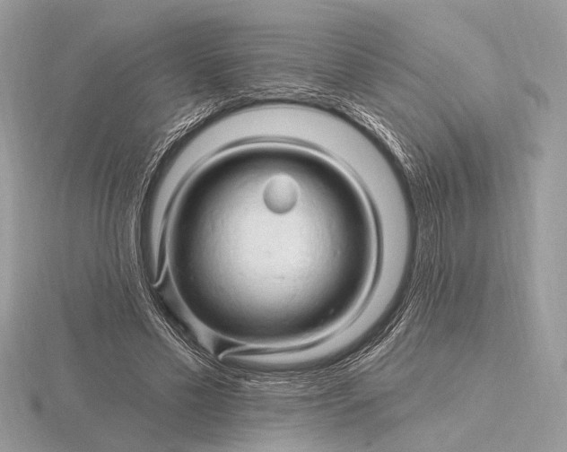 X0000116280589200912141350