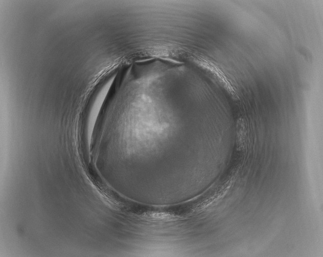 X0000116280590200912141350