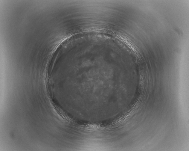 X0000116280592200912141350