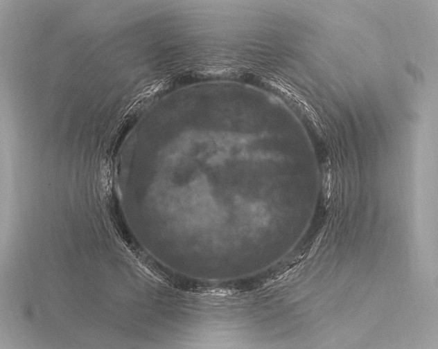 X0000116280593200912141350