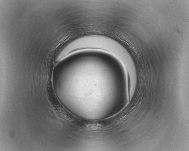 X0000116280595200912141350