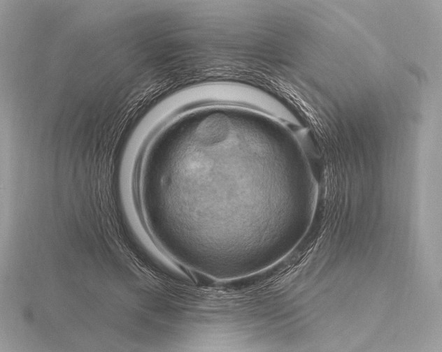 X0000116280597200912141350