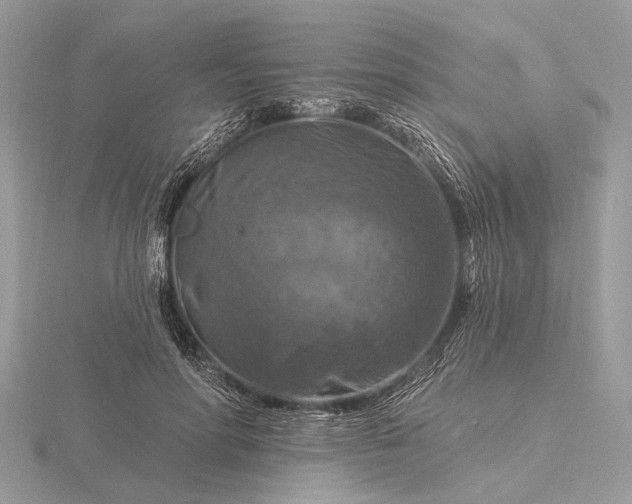 X0000116280598200912141350