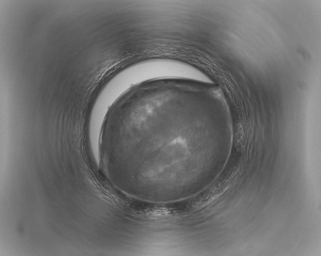 X0000116280600200912141350