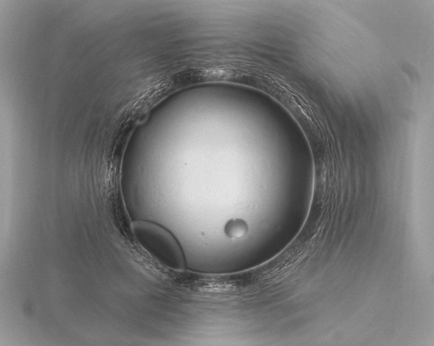 X0000116280601200912141350