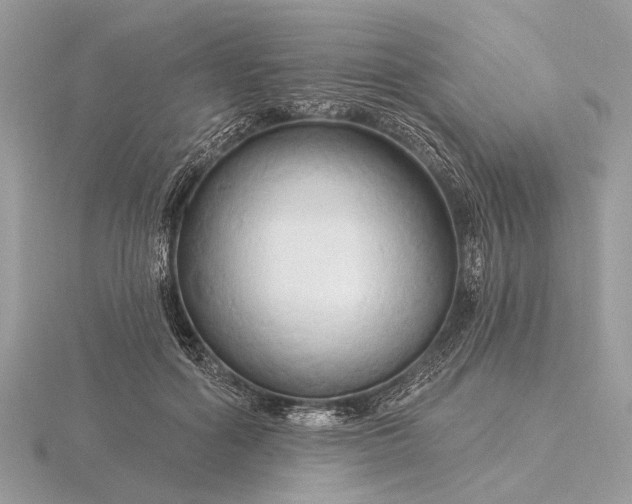 X0000116280602200912141350