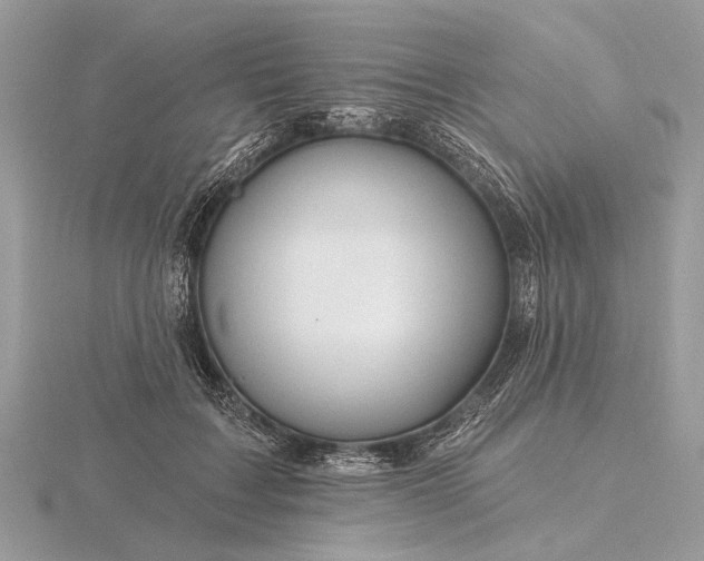 X0000116280603200912141350