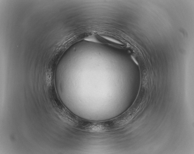 X0000116280604200912141350