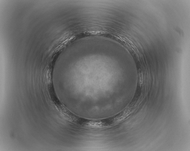 X0000116280606200912141350