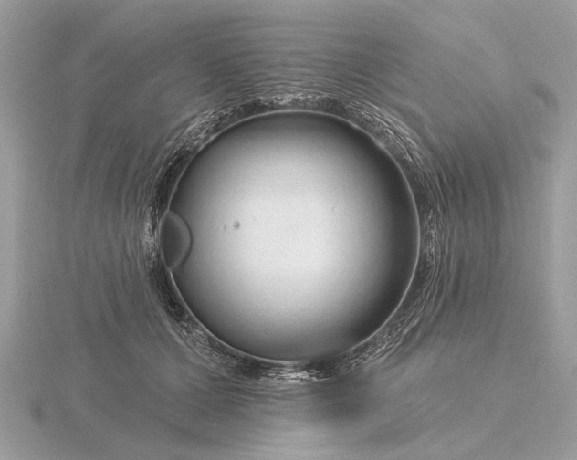 X0000116280607200912141350