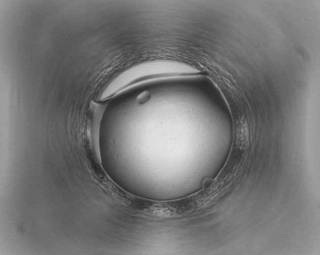 X0000116280608200912141350