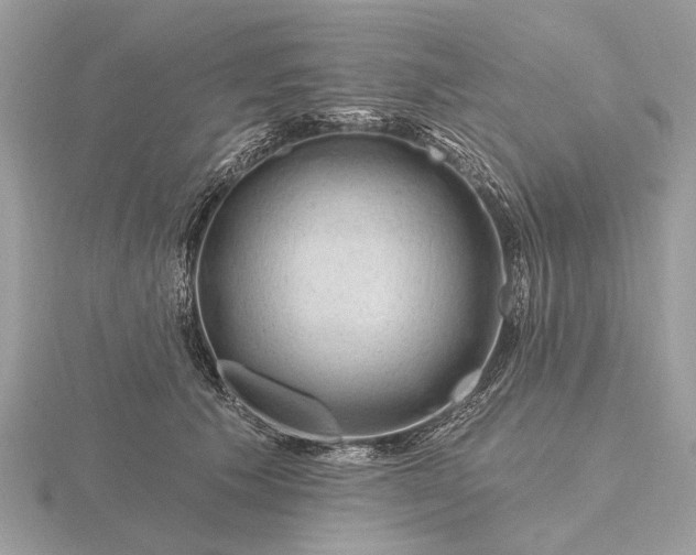 X0000116280609200912141350