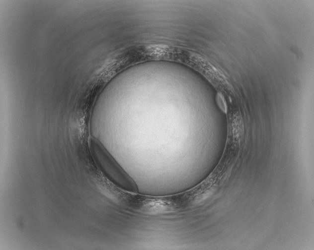 X0000116280611200912141350