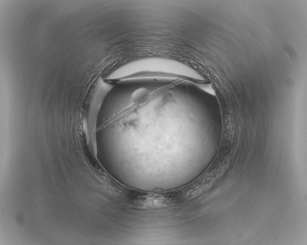 X0000116280612200912141350