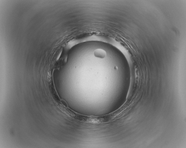 X0000116280613200912141350