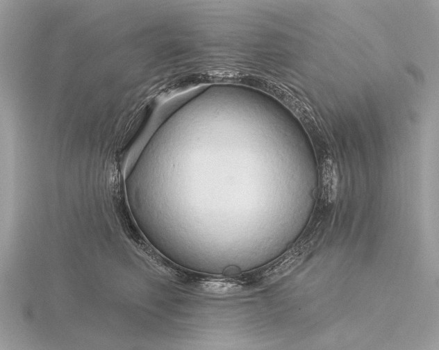 X0000116280614200912141350