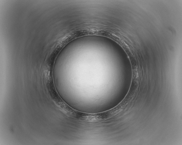 X0000116280615200912141350