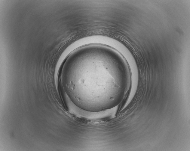 X0000116280617200912141350