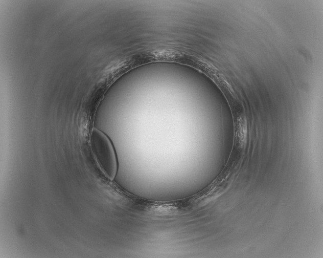 X0000116280619200912141350