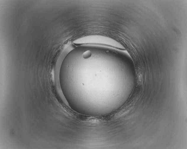 X0000116280620200912141350