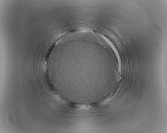 X0000116280621200912141350