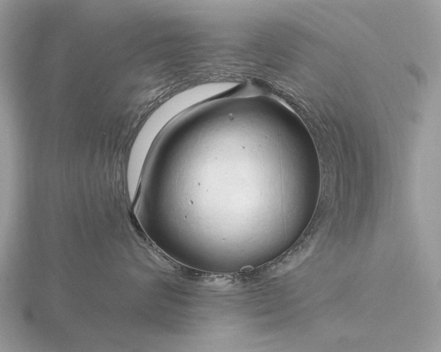 X0000116280624200912141350