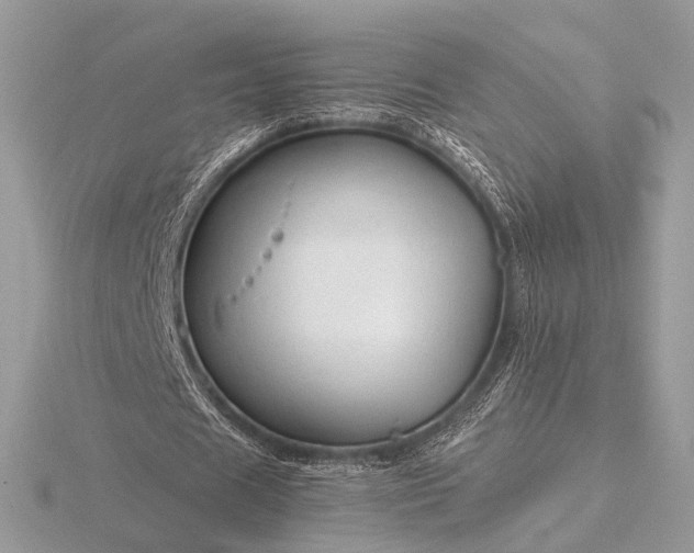 X0000116280625200912141349