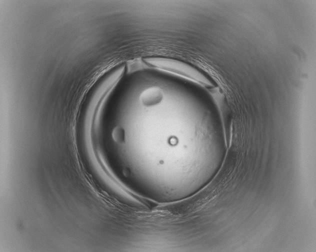 X0000116280626200912141349