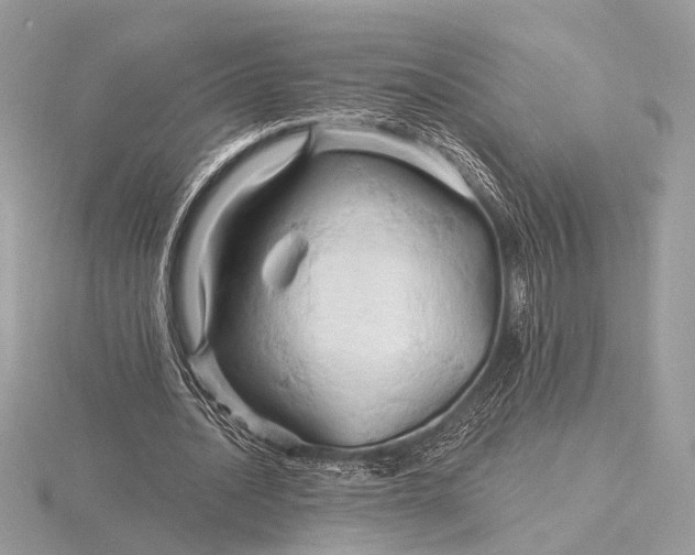 X0000116280628200912141349