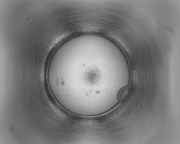 X0000116280629200912141349