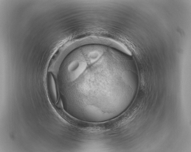 X0000116280630200912141349