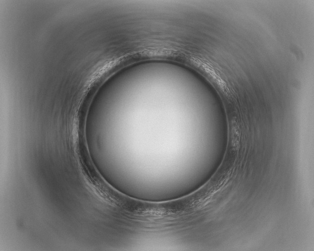 X0000116280631200912141349