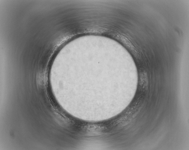 X0000116280632200912141349