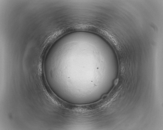 X0000116280633200912141349