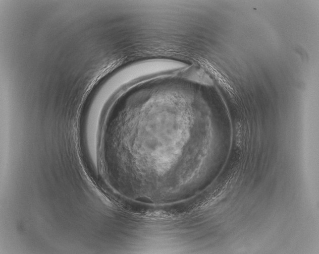 X0000116280634200912141349