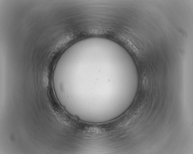 X0000116280635200912141349