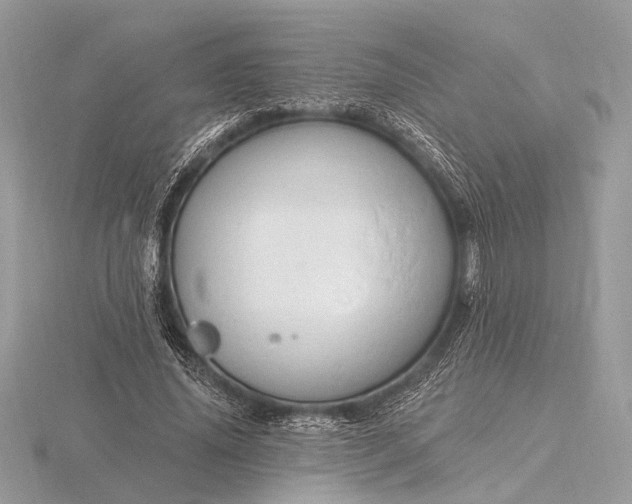 X0000116280636200912141349