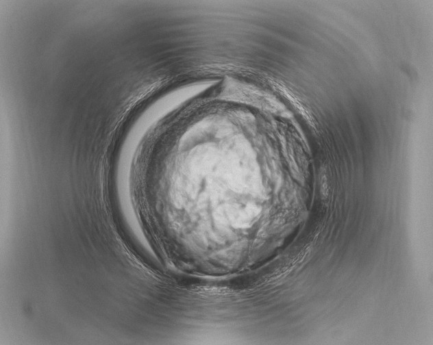 X0000116280637200912141349