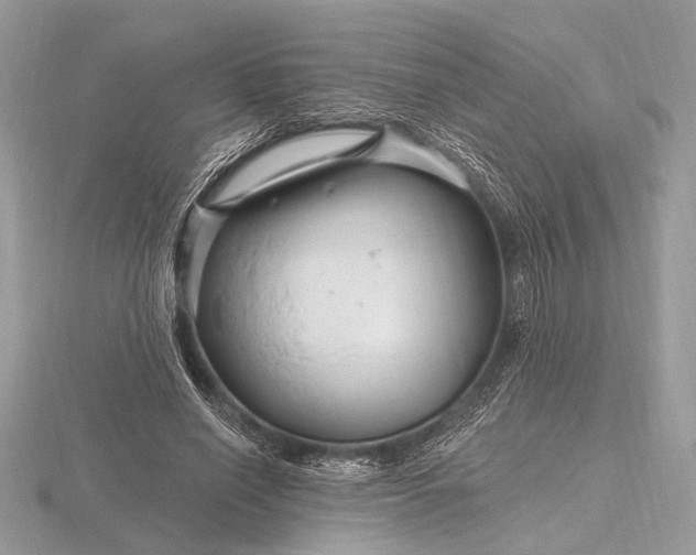 X0000116280638200912141349