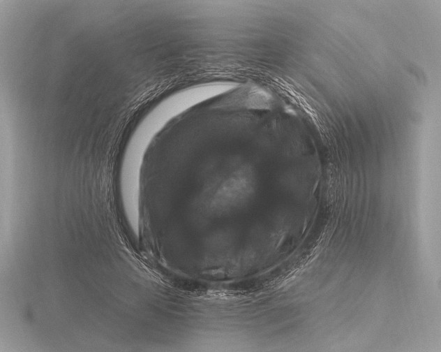 X0000116280641200912141349