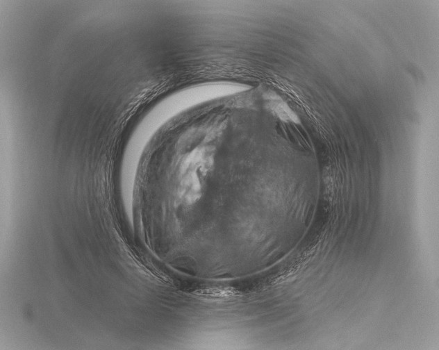 X0000116280642200912141349