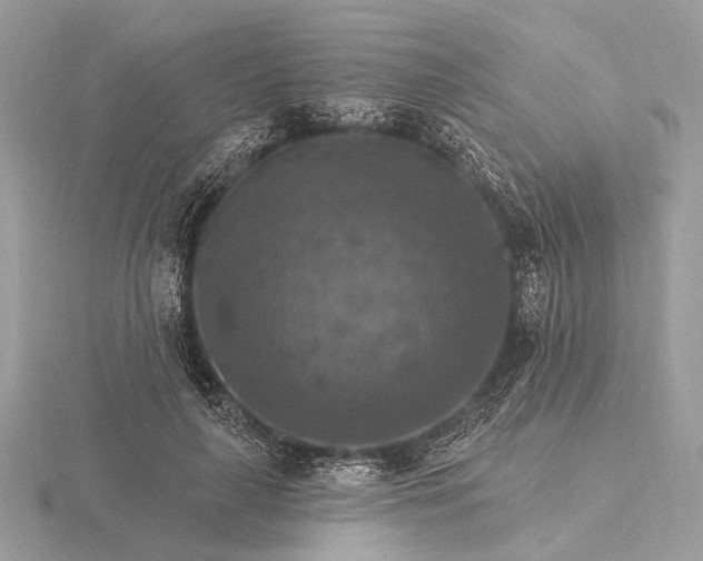 X0000116280643200912141349