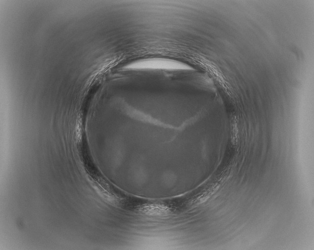 X0000116280644200912141349