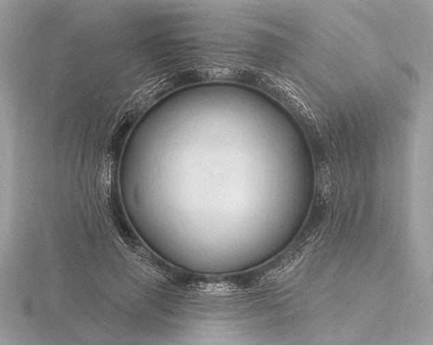 X0000116280645200912141349