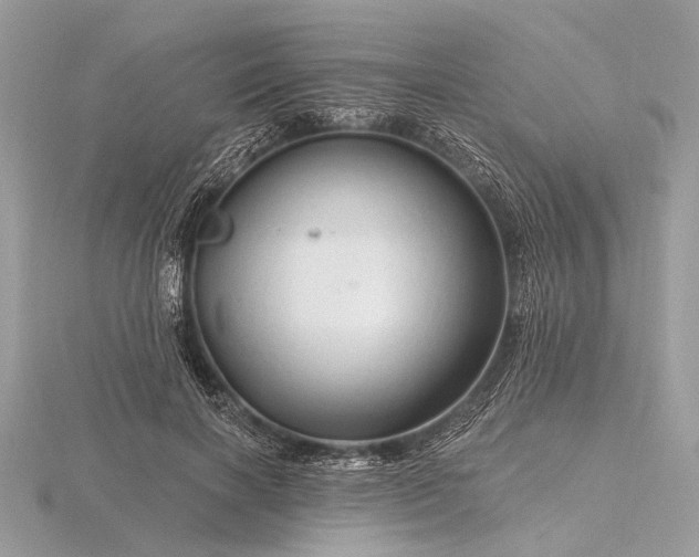 X0000116280646200912141349