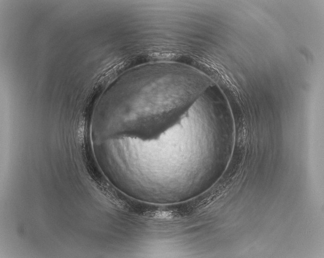 X0000116280647200912141349