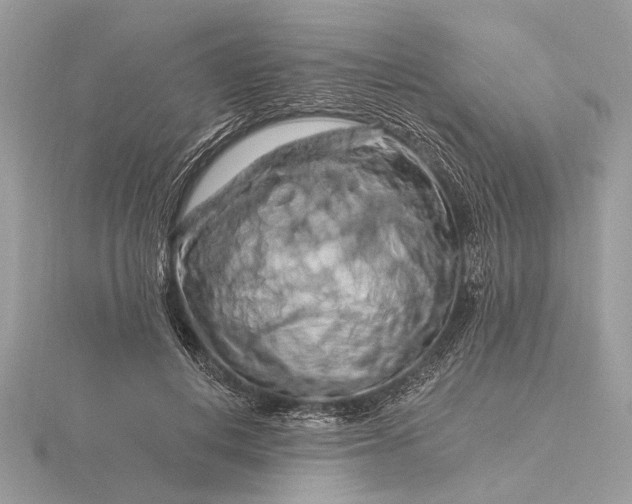 X0000116280648200912141349