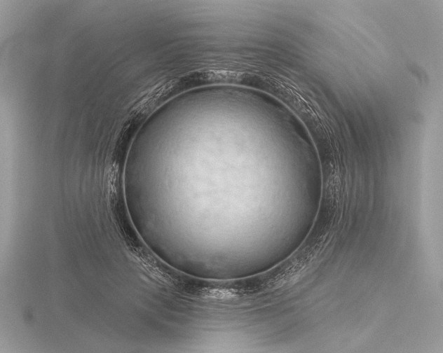 X0000116280649200912141349